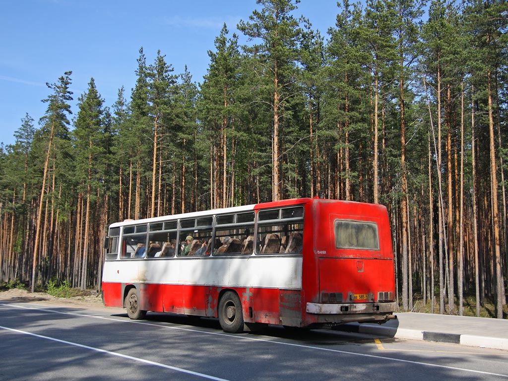 Ленинградская область, Ikarus 256.74 № 04181