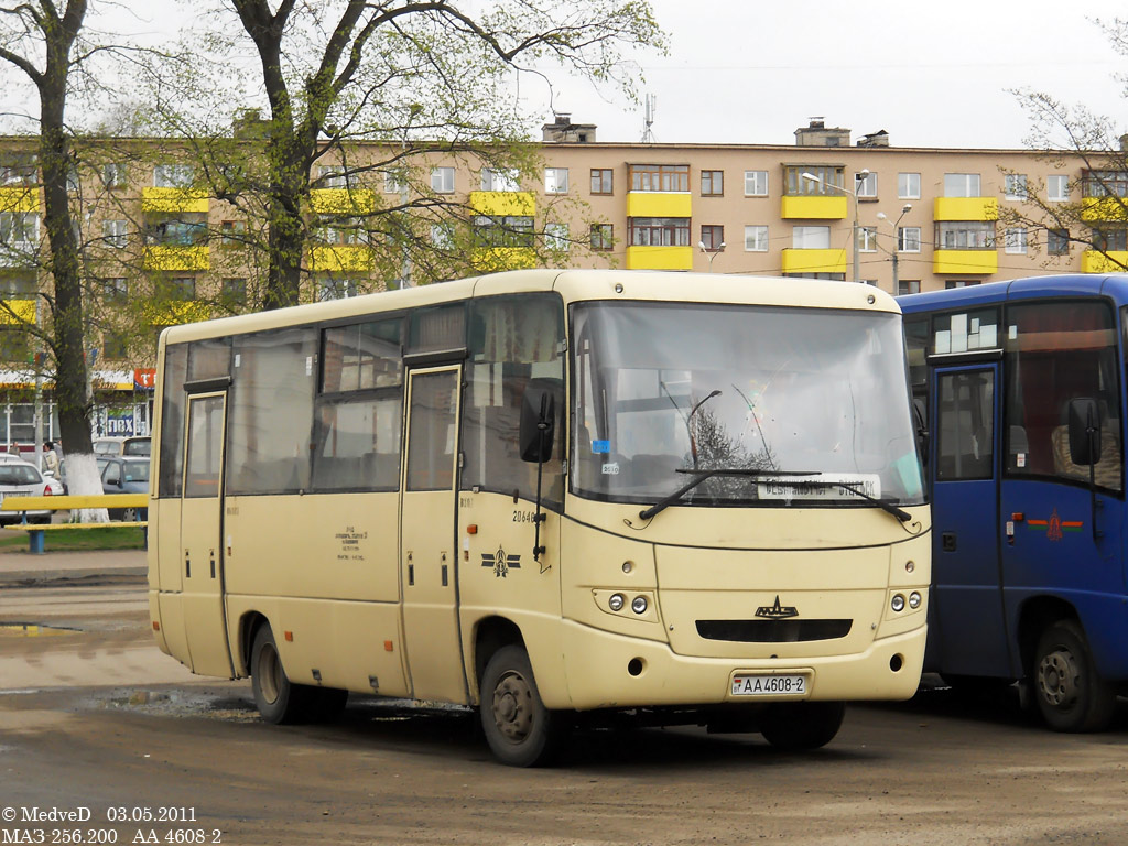 Витебская область, МАЗ-256.200 № 20648