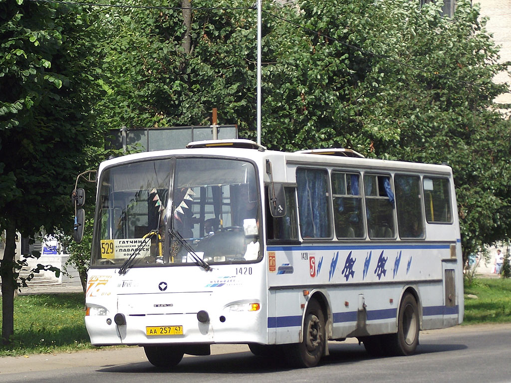 Ленинградская область, ПАЗ-4230-03 № 1420