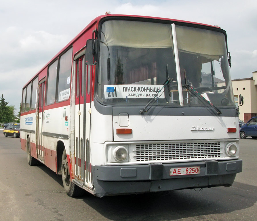 Брестская область, Ikarus 260.43 № 20214