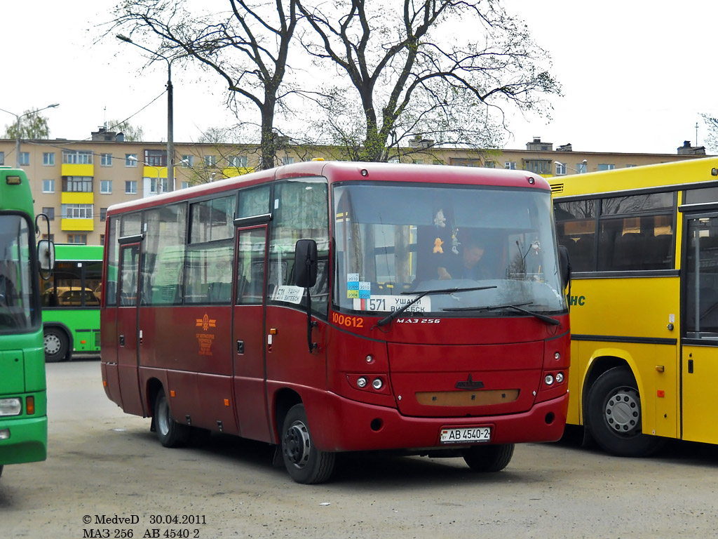 Vitebsk region, MAZ-256.270 № 100612