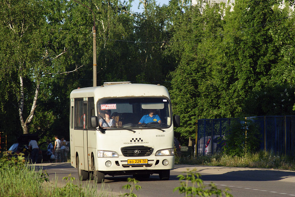 Московская область, Hyundai County SWB C08 (РЗГА) № ВО 229 50