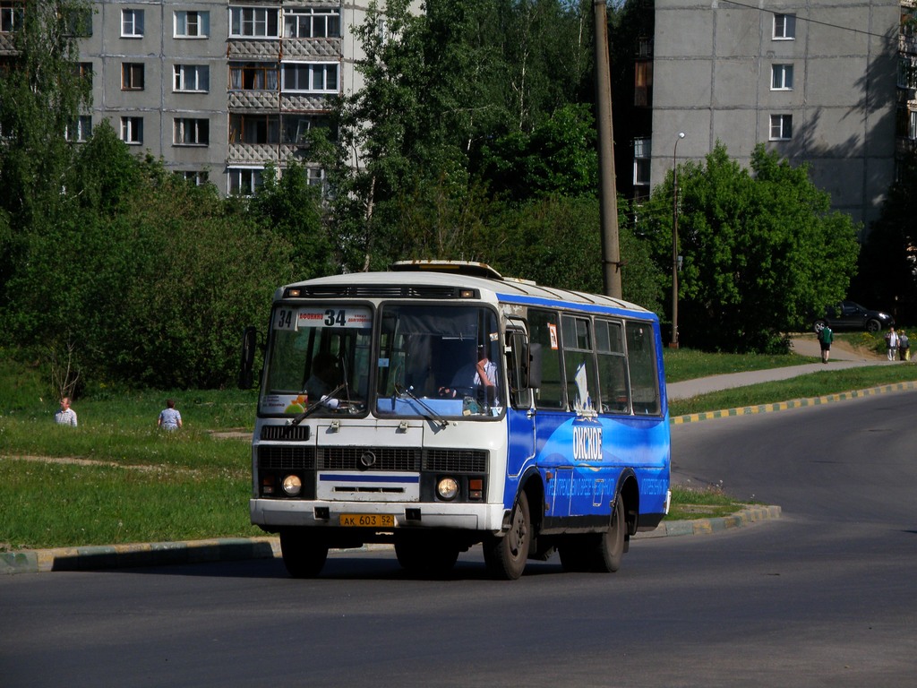 Нижегородская область, ПАЗ-32054 № АК 603 52