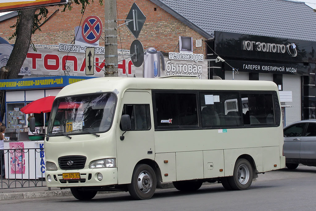 Rostov region, Hyundai County SWB C08 (RZGA) # 7