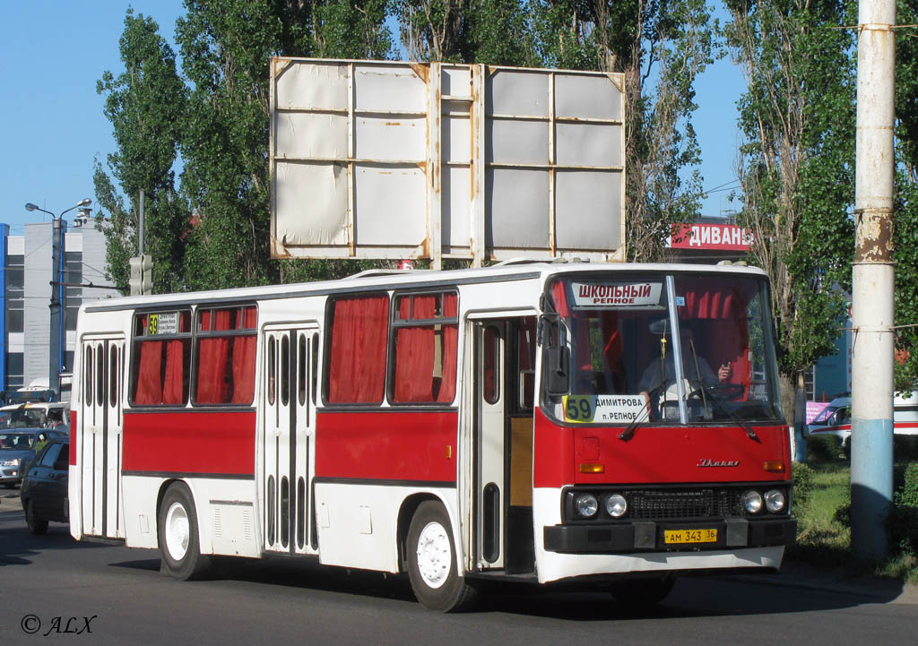 Автобус 59 воронеж репное. Икарус 280.08. Икарус 280 Воронеж. Автобус 59 Воронеж. Икарус 260 Воронеж.