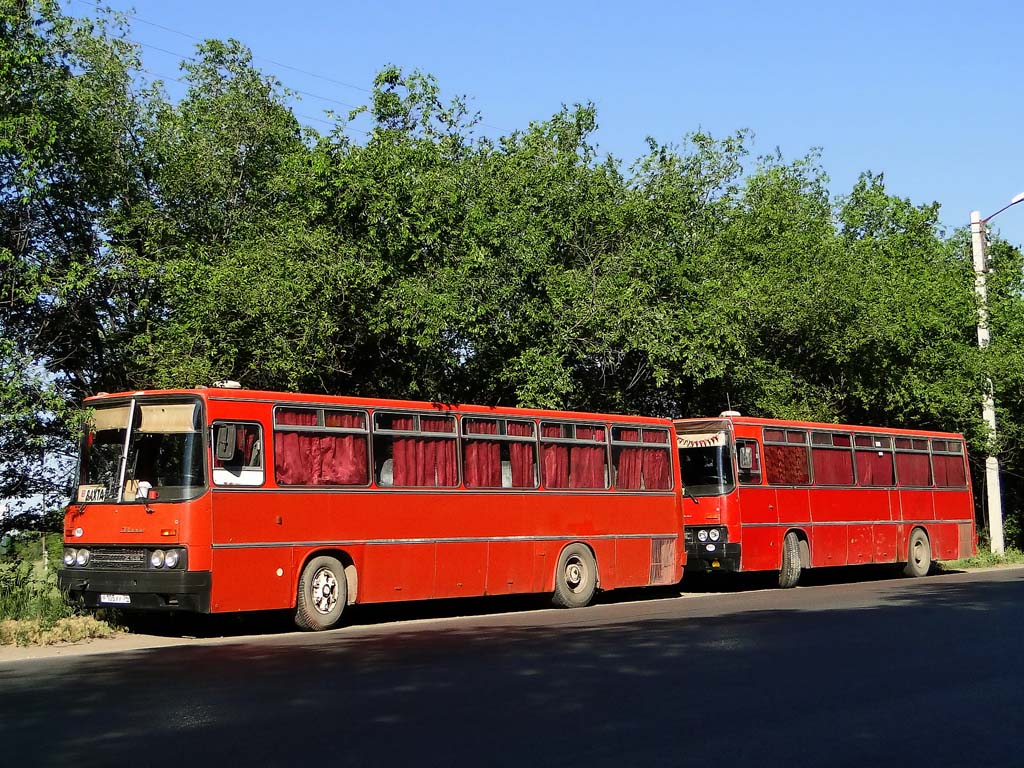 Волгоградская область, Ikarus 256.69 № Р 105 ХУ 34; Волгоградская область, Ikarus 256.69 № Р 696 СС 34; Волгоградская область — Разные фотографии