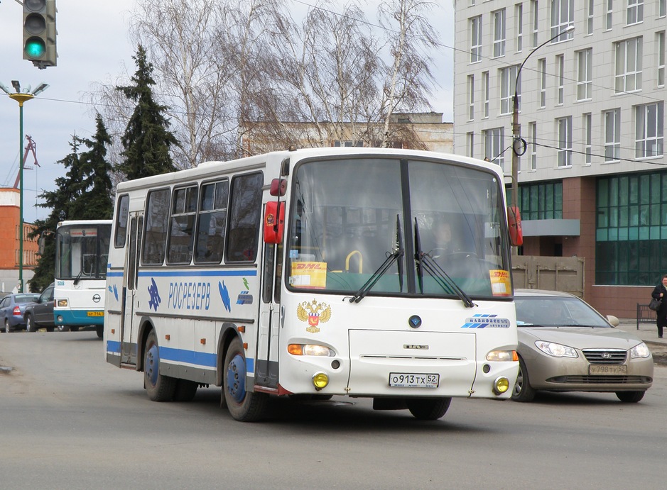 Нижегородская область, ПАЗ-4230-01 (2-2) № О 913 ТХ 52