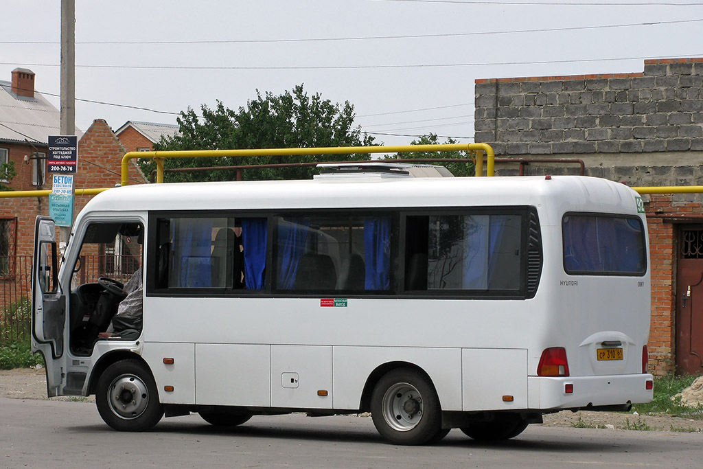 Ростовская область, Hyundai County SWB C08 (ТагАЗ) № 040