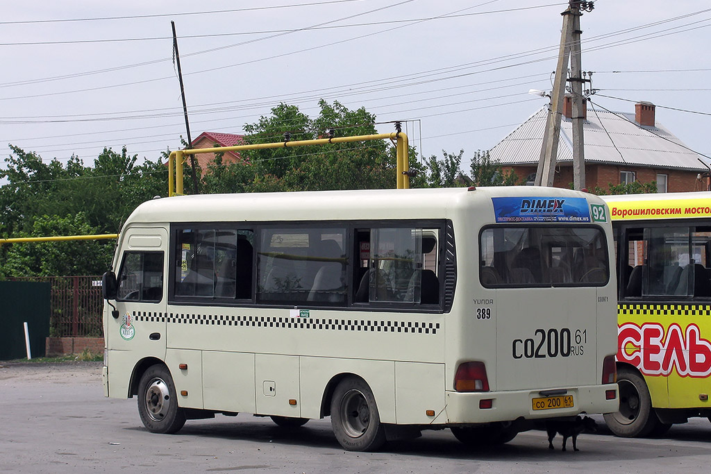 Ростовская область, Hyundai County SWB C08 (РЗГА) № 389