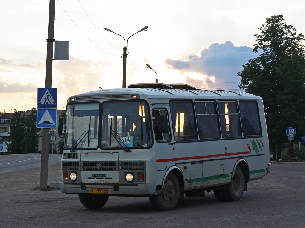 Псковская область, ПАЗ-32054 № 1113