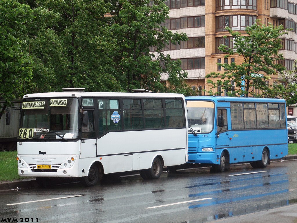 Санкт-Петербург, Otoyol M29 City II № 1586