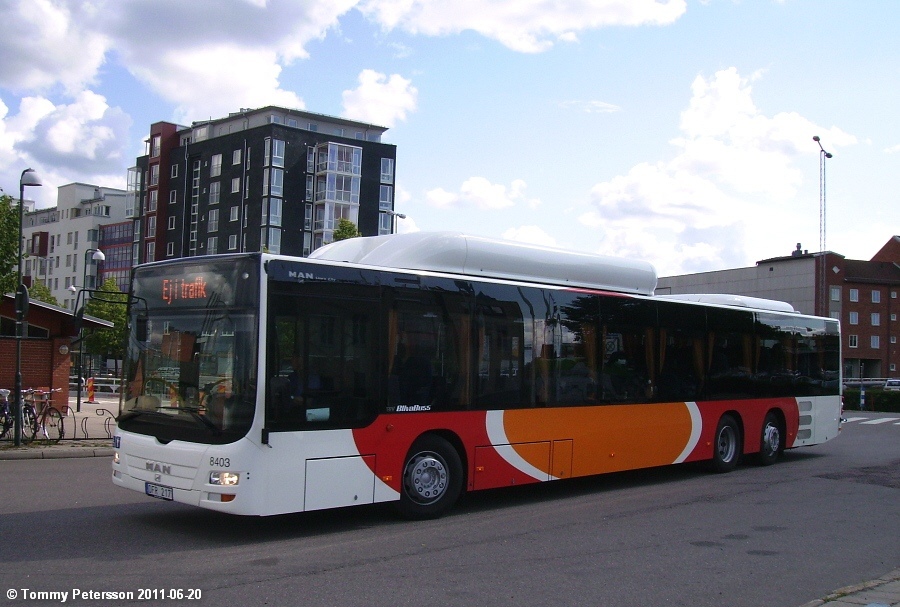 Швеция, MAN A26 Lion's City LL NL313-15 CNG № 8403