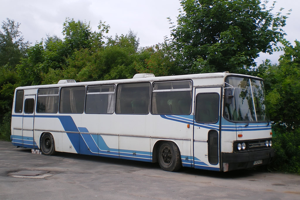 Новгородская область, Ikarus 250.95 № А 342 МН 53