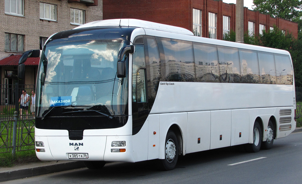 Воронежская область, MAN R08 Lion's Top Coach RHC414 № К 385 ТА 36