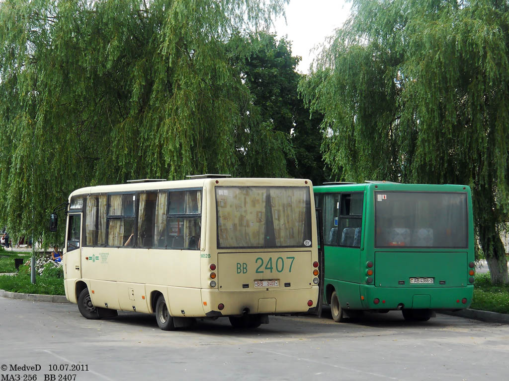 Vitebsk region, MAZ-256.200 č. 100528