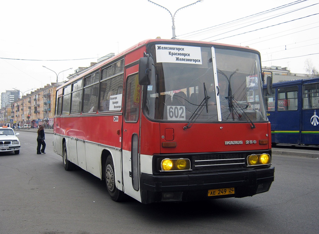 Красноярский край, Ikarus 256.74 № АЕ 249 24