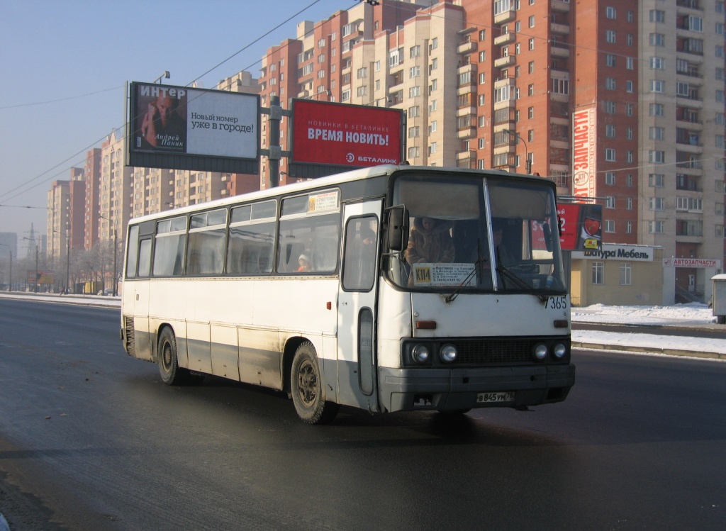 Санкт-Петербург, Ikarus 256.74 № 7365