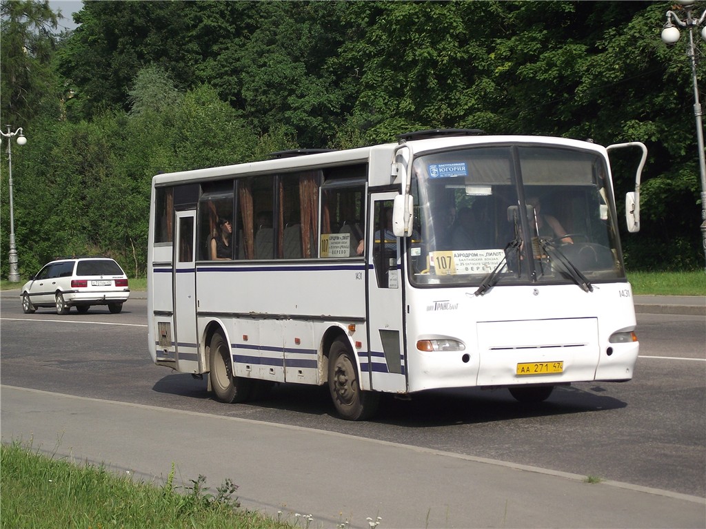 Ленінградська область, ПАЗ-4230-01 (1-1) (КАвЗ) № 1431