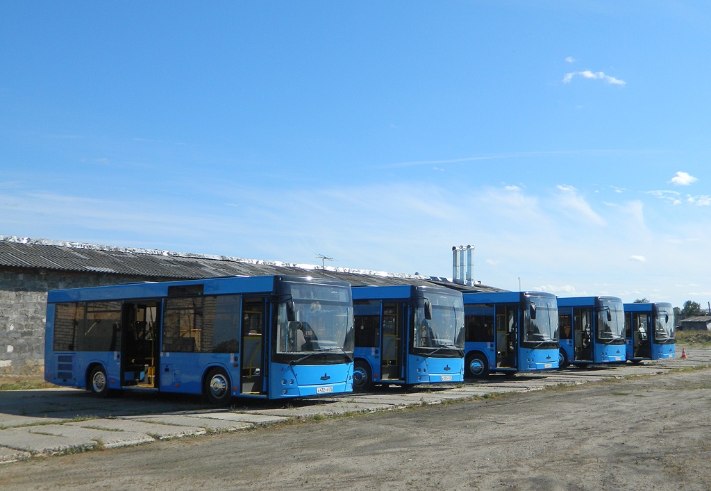 Vologda region — New buses