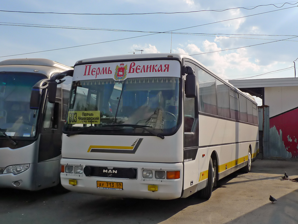 Пермский край, MAN A01 ÜL313 № АУ 713 59