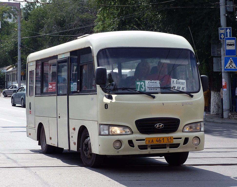 Ростовская область, Hyundai County SWB C08 (РЗГА) № 08