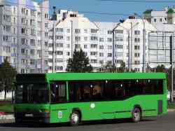 244 КБ