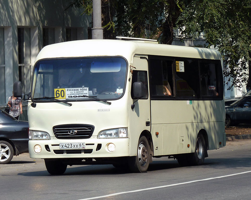 Ростовская область, Hyundai County SWB C08 (РЗГА) № Х 423 ХХ 61