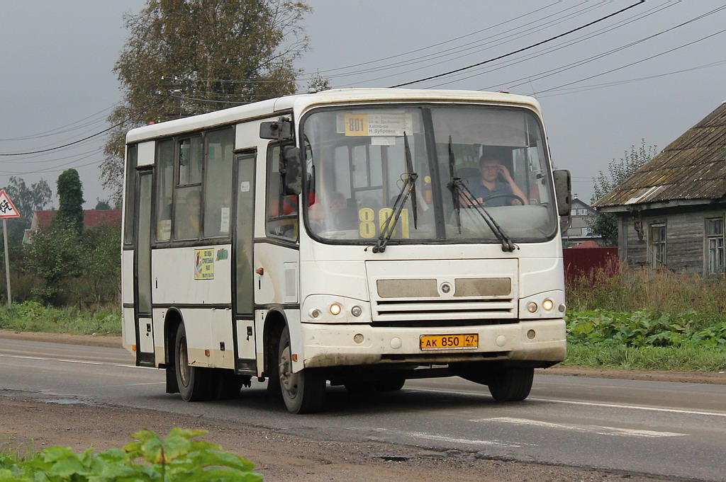 Ленинградская область, ПАЗ-320402-03 № АК 850 47