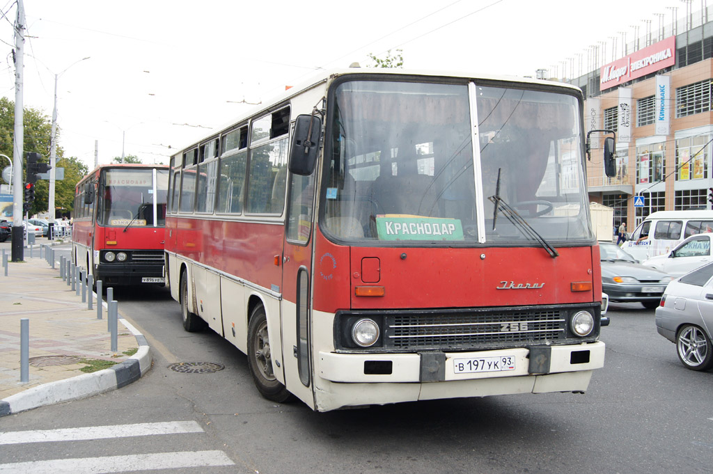 Краснодарский край, Ikarus 256.51 № В 197 УК 93