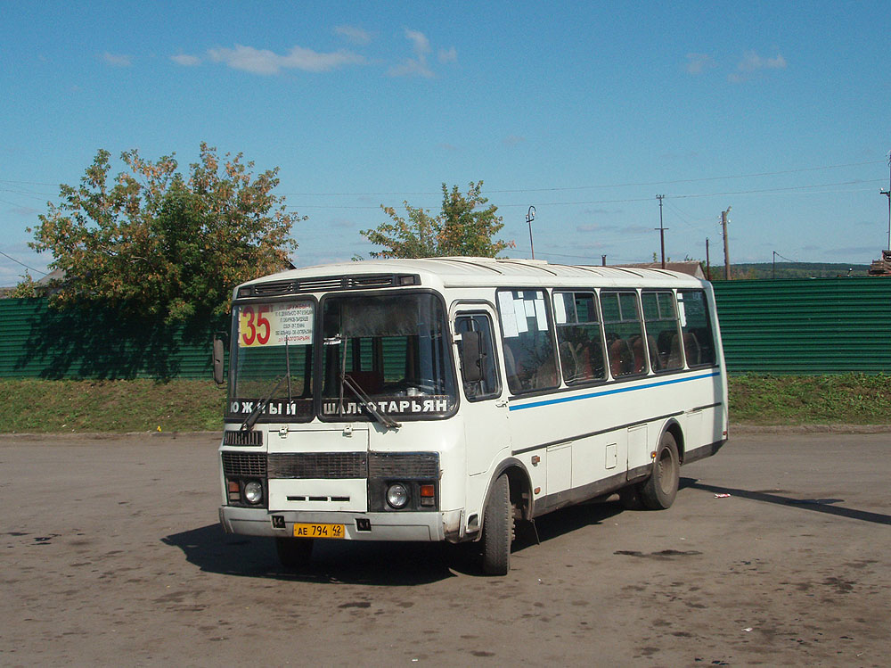 Кемеровская область - Кузбасс, ПАЗ-4234 № 113