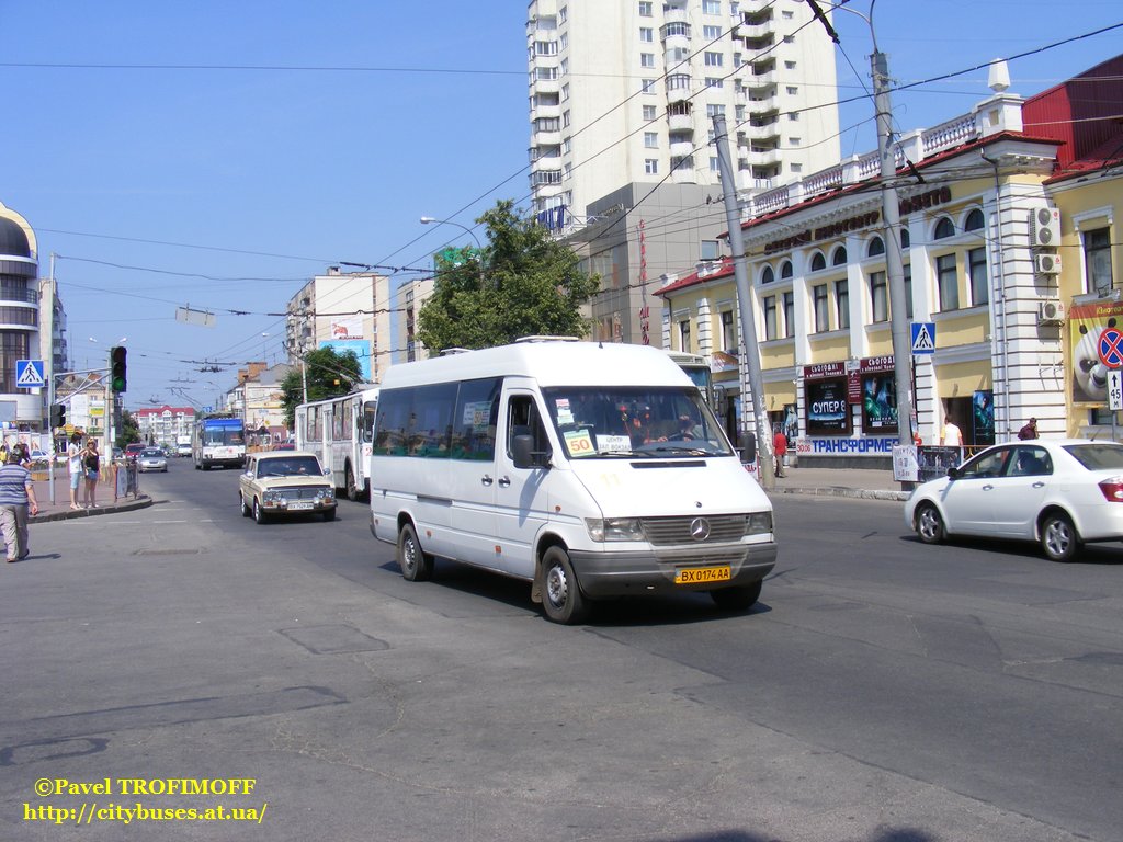 Хмельницкая область, Mercedes-Benz Sprinter W903 310D № BX 0174 AA