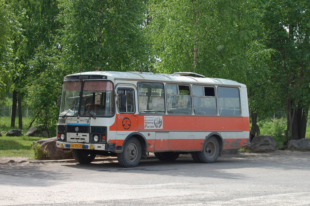 Архангельская область, ПАЗ-3205 (00) № АВ 315 29