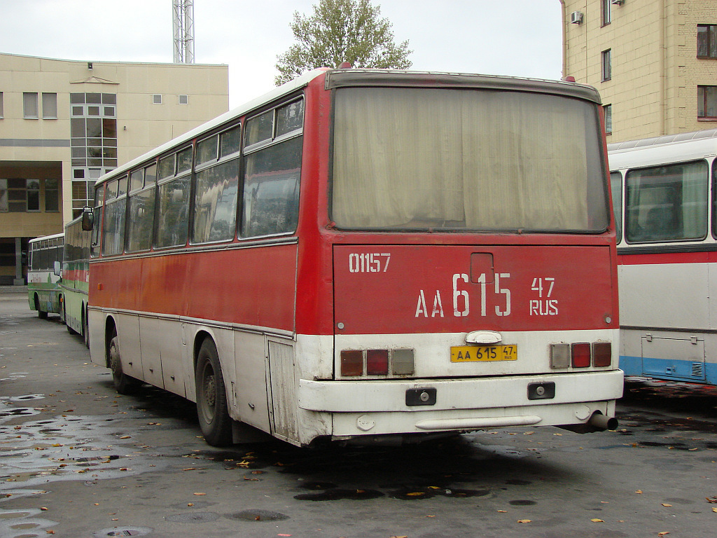 Ленинградская область, Ikarus 256.54 № 01157