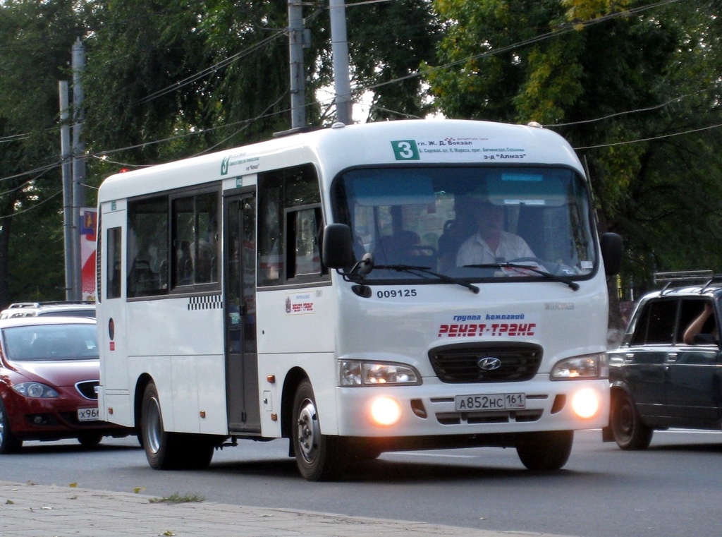 Ростовская область, Hyundai County LWB C09 (ТагАЗ) № 009125