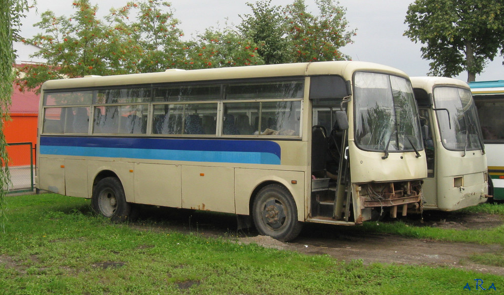 Литва, Hyundai AeroTown № ZSM 065