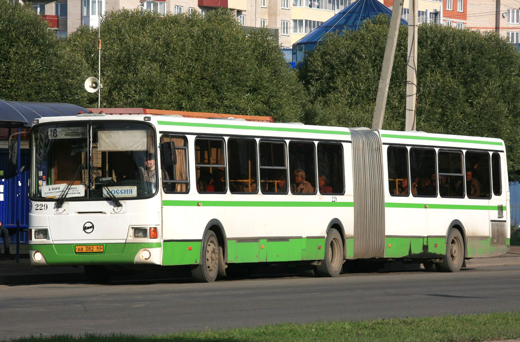 Pskov region, LiAZ-6212.00 # 229