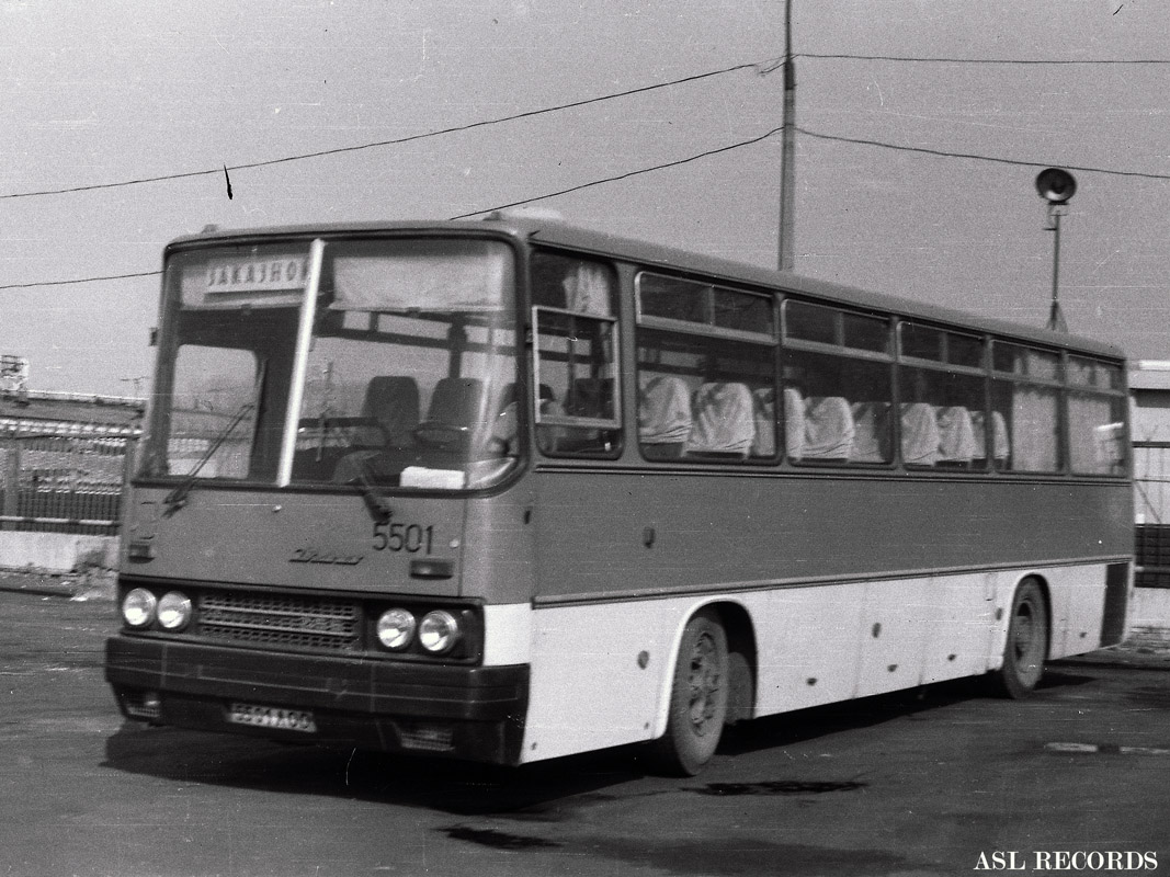 Sanktpēterburga, Ikarus 256.54 № 5501