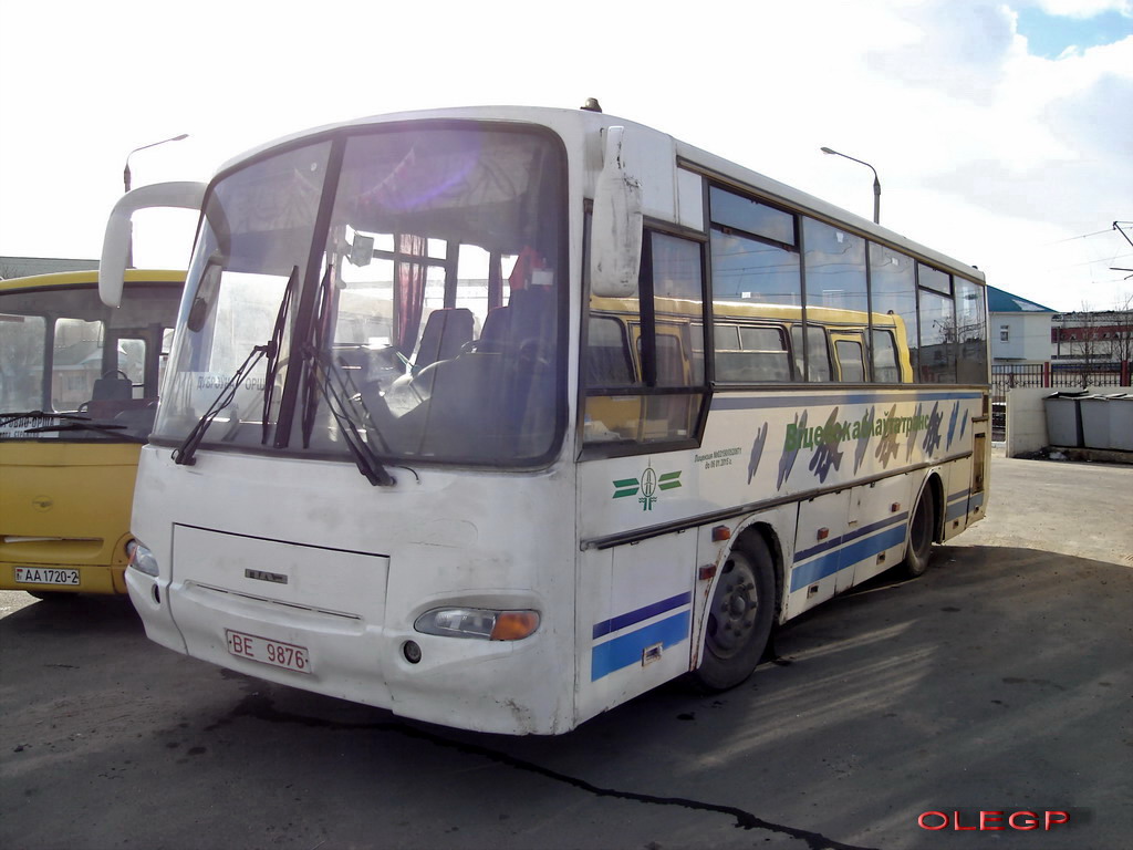 Віцебская вобласць, ПАЗ-4230-02 № ВЕ 9876