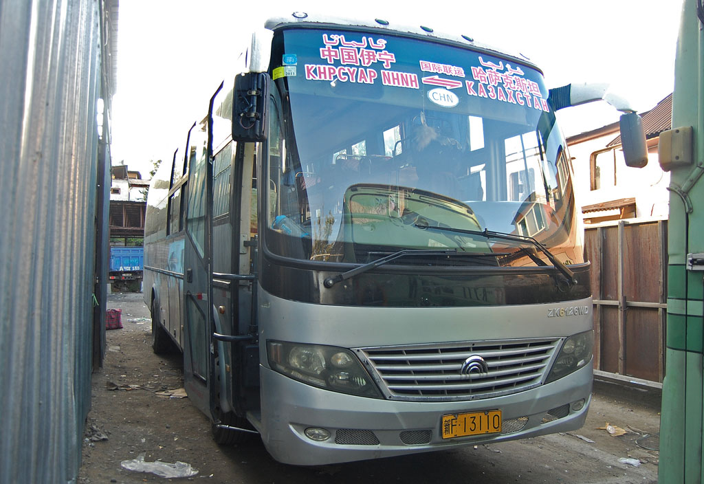 Китай, Yutong ZK6126WG № 新F 13110