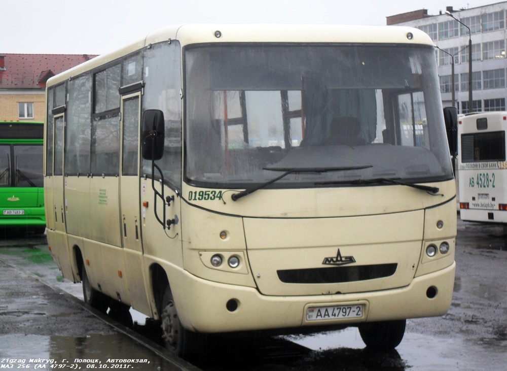 Vitebsk region, MAZ-256.200 № 019534