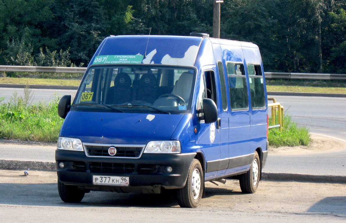 Свердловская область, FIAT Ducato 244 CSMMC, -RT № Р 377 КН 96