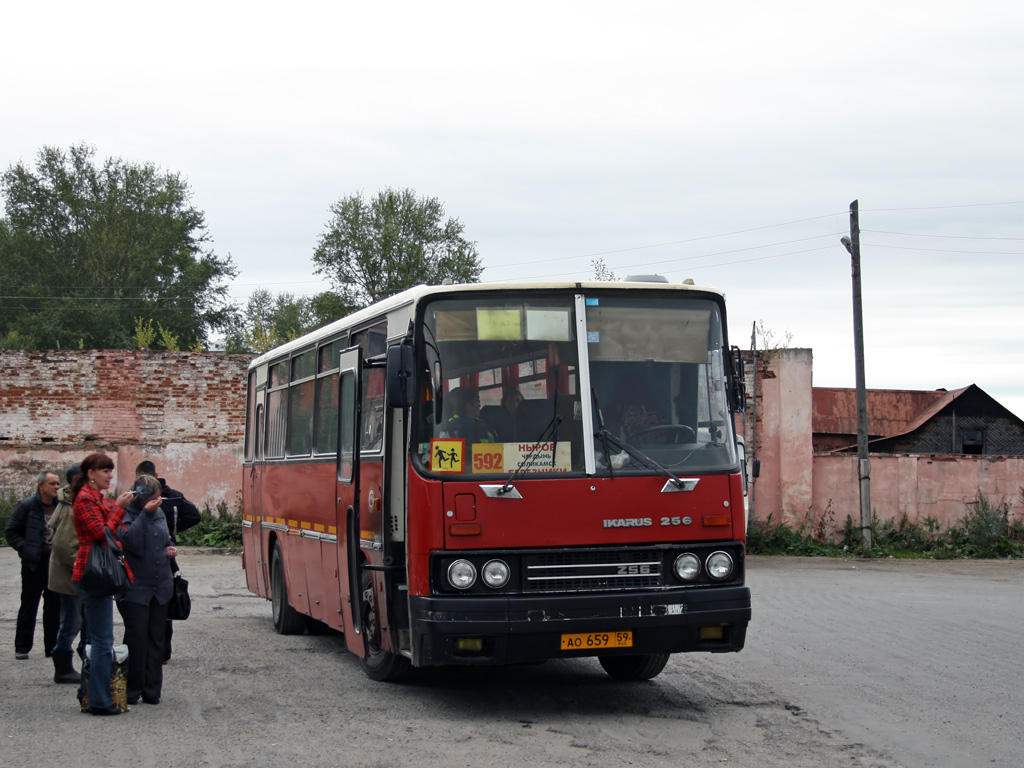 Автовокзал соликамск карта