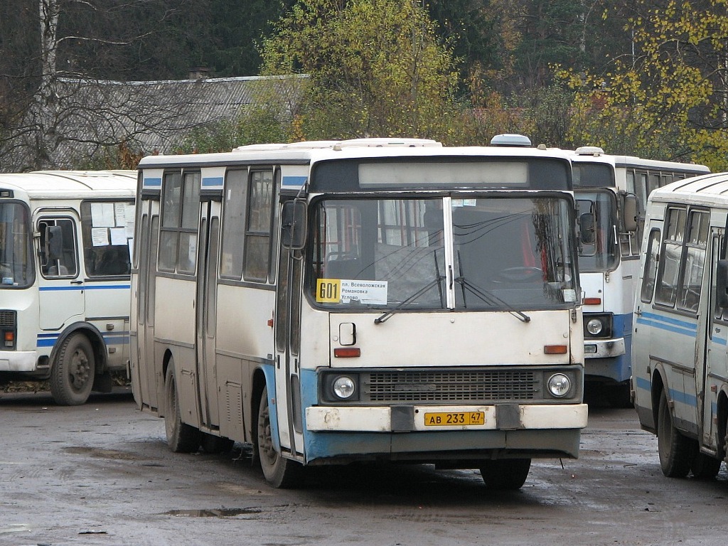 Ленинградская область, Ikarus 263.10 № АВ 233 47