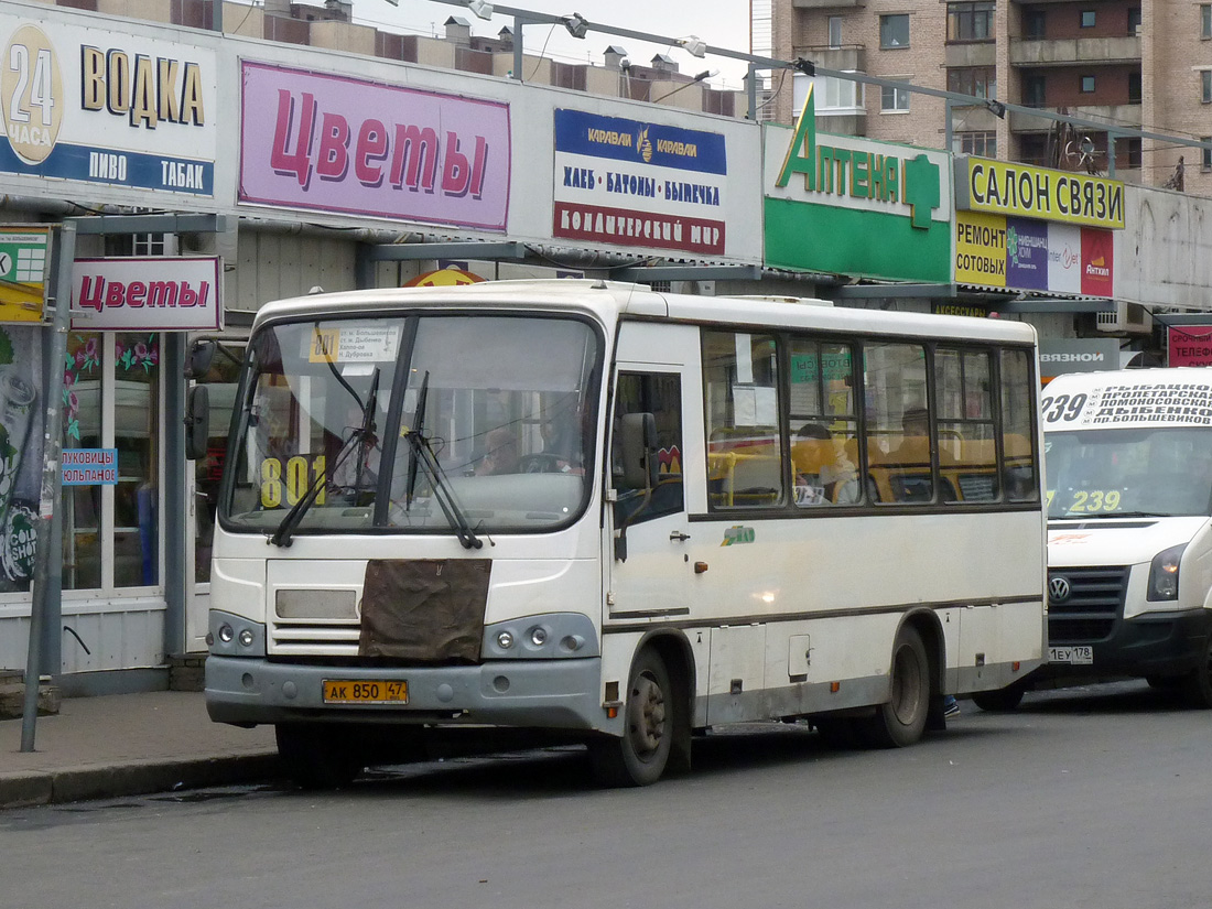 Ленинградская область, ПАЗ-320402-03 № АК 850 47