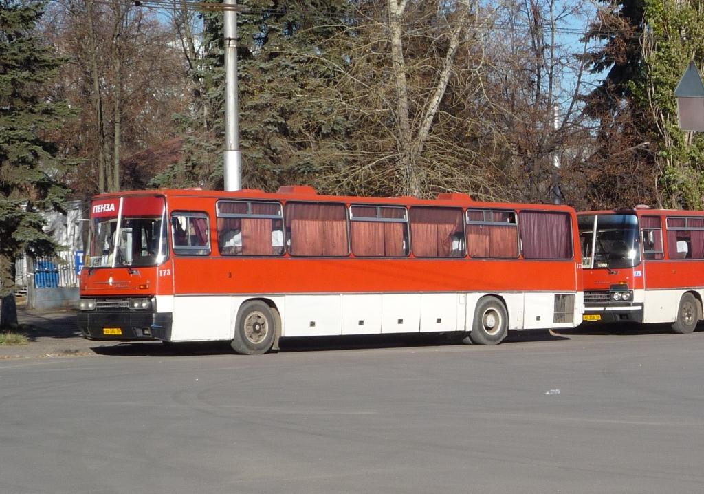 Пензенская область, Ikarus 250.59 № 173