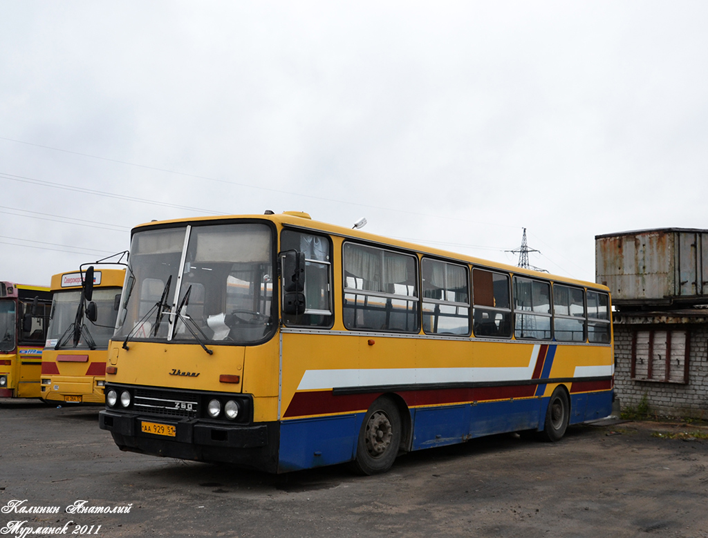 Мурманская область, Ikarus 260.51 № АА 929 51