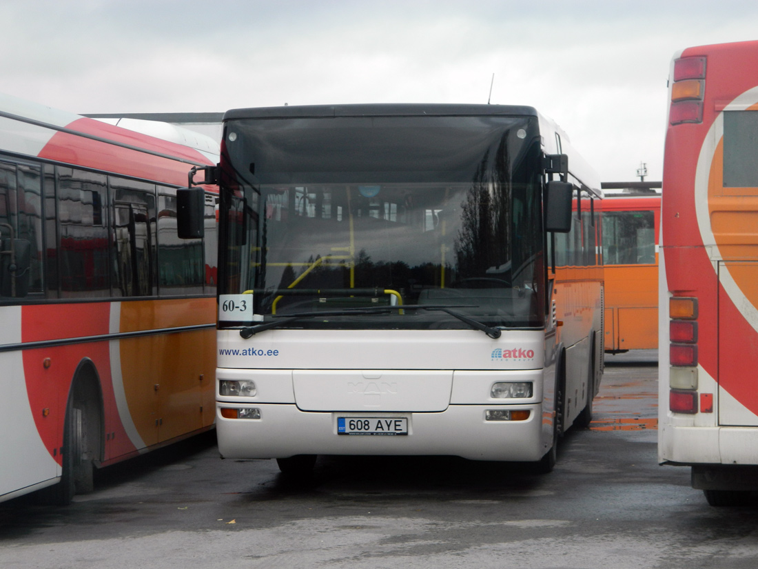 Эстония, MAN A72 Lion's Classic SÜ263 № 608 AYE