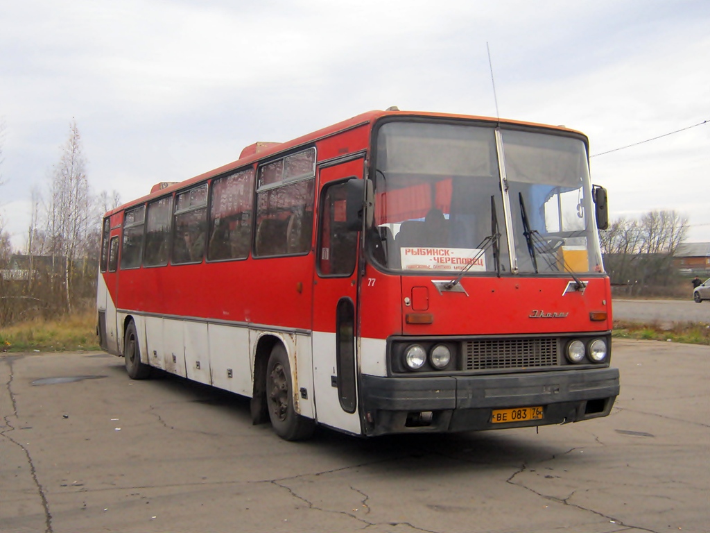 Ярославская область, Ikarus 250.59 № 77