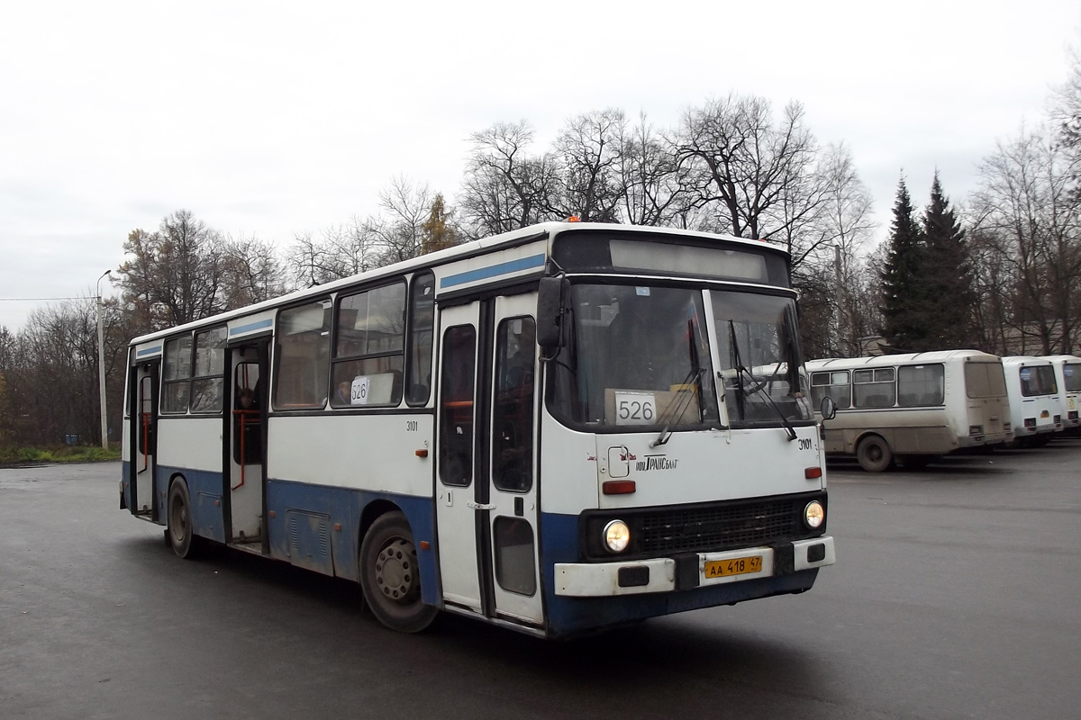 Ленинградская область, Ikarus 263.10 № 3101