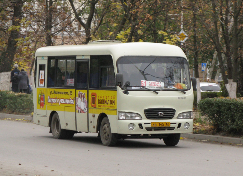 Rostov region, Hyundai County SWB C08 (RZGA) Nr. КВ 145 61